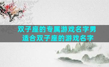 双子座的专属游戏名字男 适合双子座的游戏名字